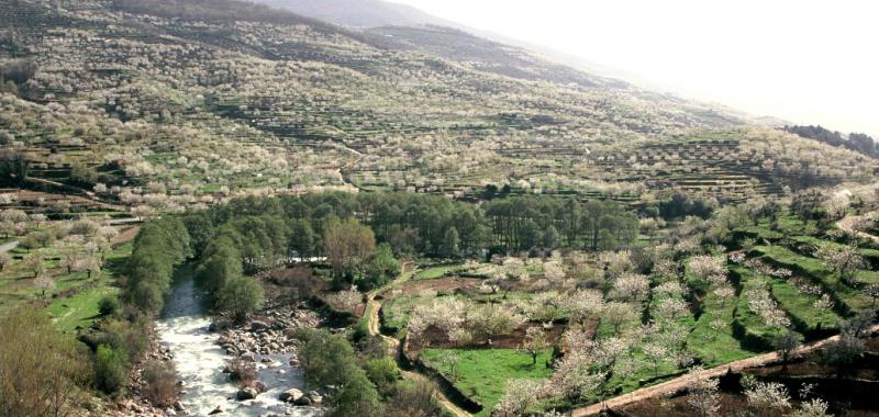 Valle del Jerte 