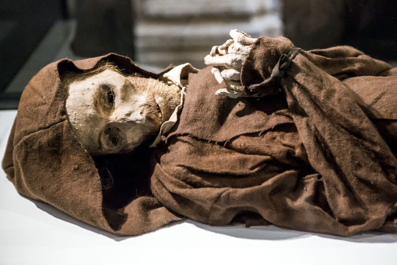 Ruta del Ebro,Goya y Vestigios Guerra - Museo de las momias - Quinto de Ebro