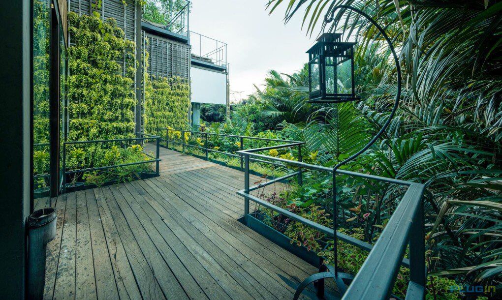Terraza