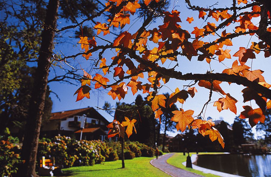 Gramado