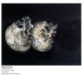 Maggi Hambling