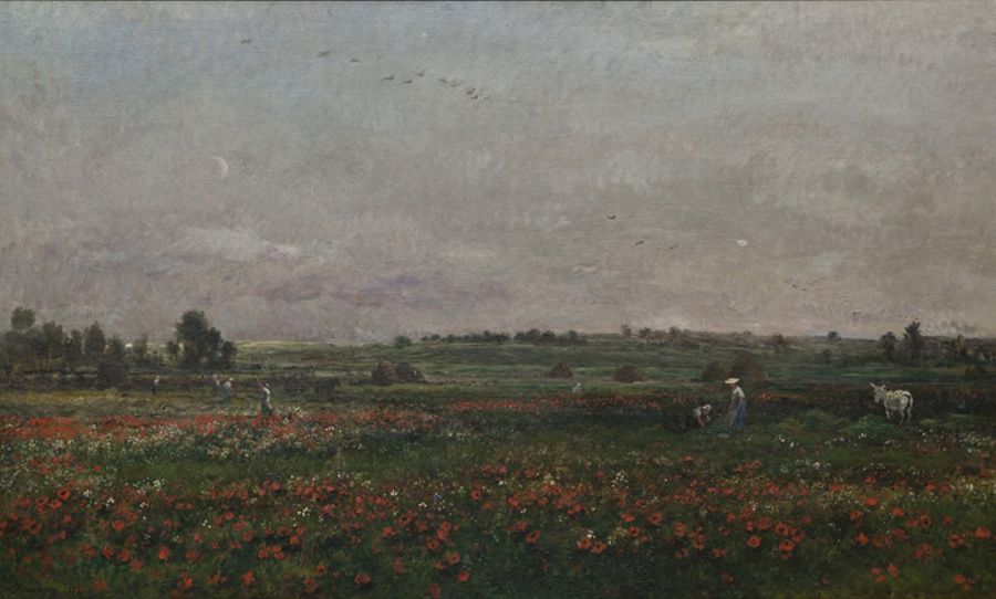 Charles Francois Daubigny - Los campos en Junio