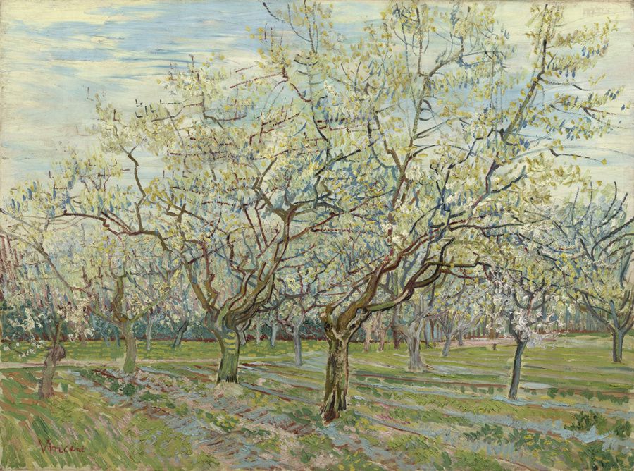 Vincent van Gogh - La huerta blanca
