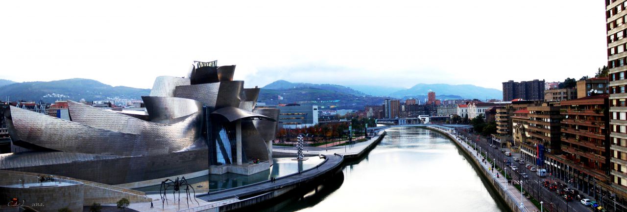 Panorámica Museo Guggenheim (Bilbao)