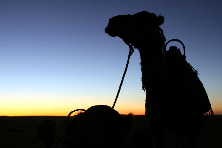 Ksar