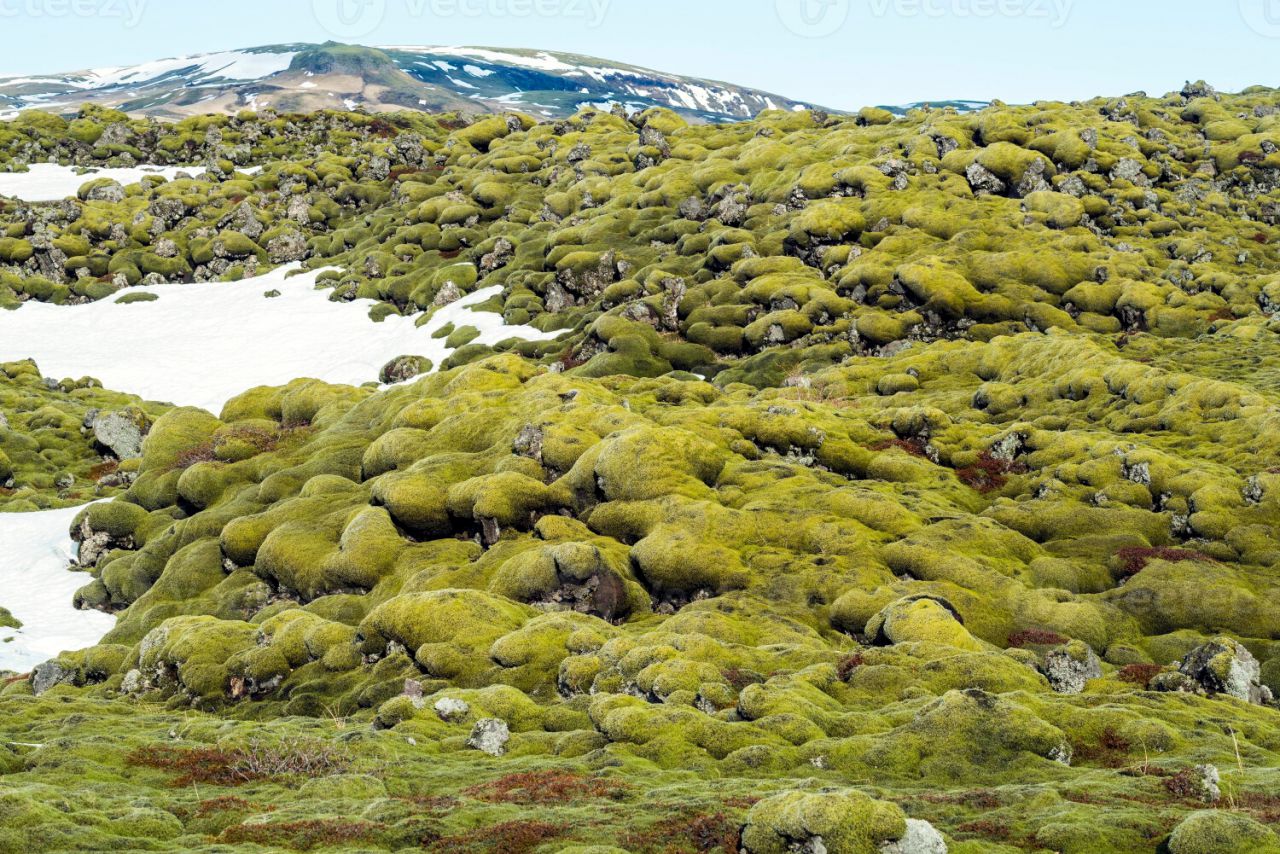 Campos de lava Islandia