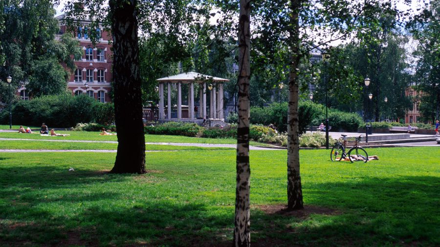 Birkelunden