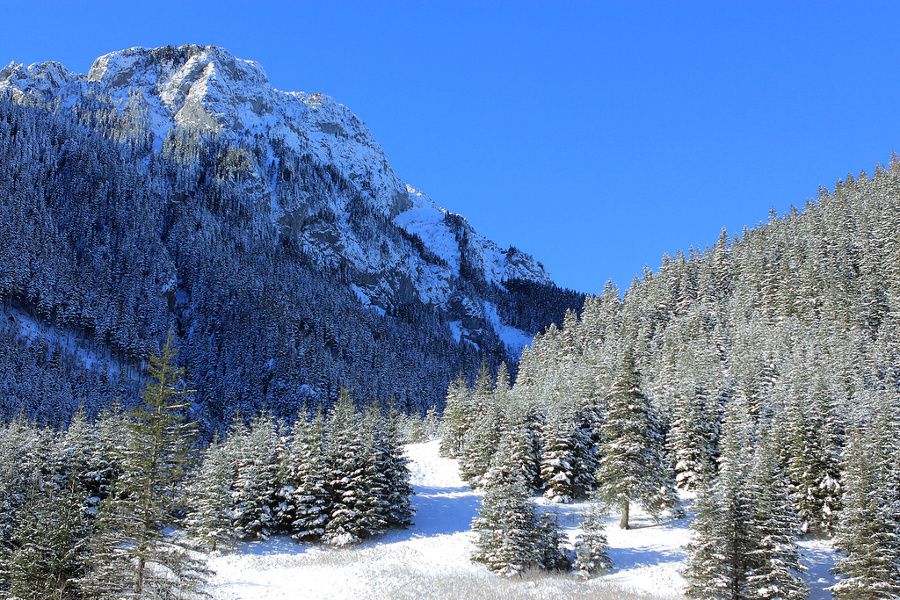 Parque Nacional de los Tatra