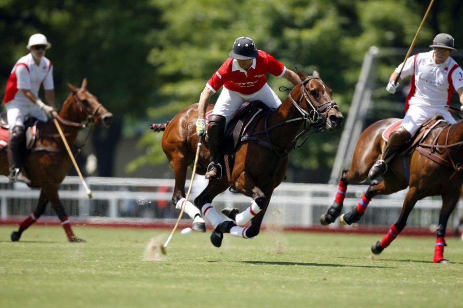 Polo