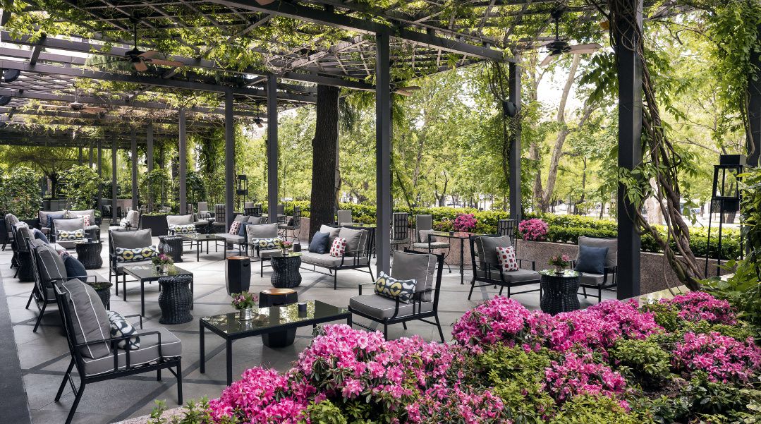 Terraza Lounge
