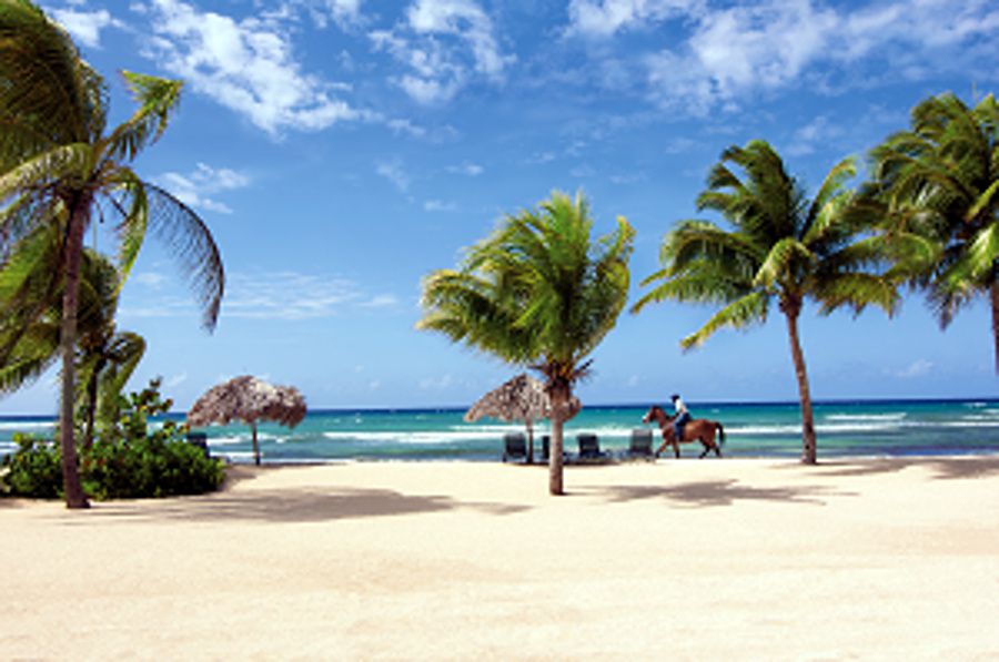 Half Moon Beach