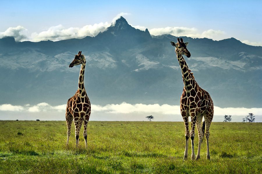 Monte Kenia