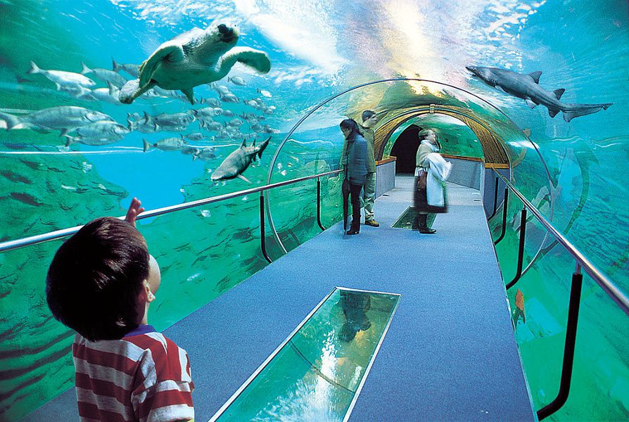 Abril Aquarium