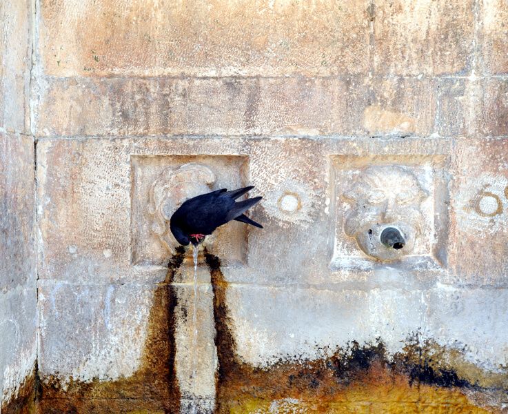 Fuente Veneciana del S. XVIII