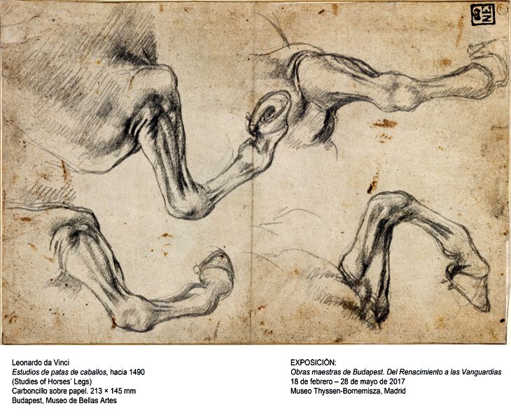 Leonardo da Vinci. Caballos