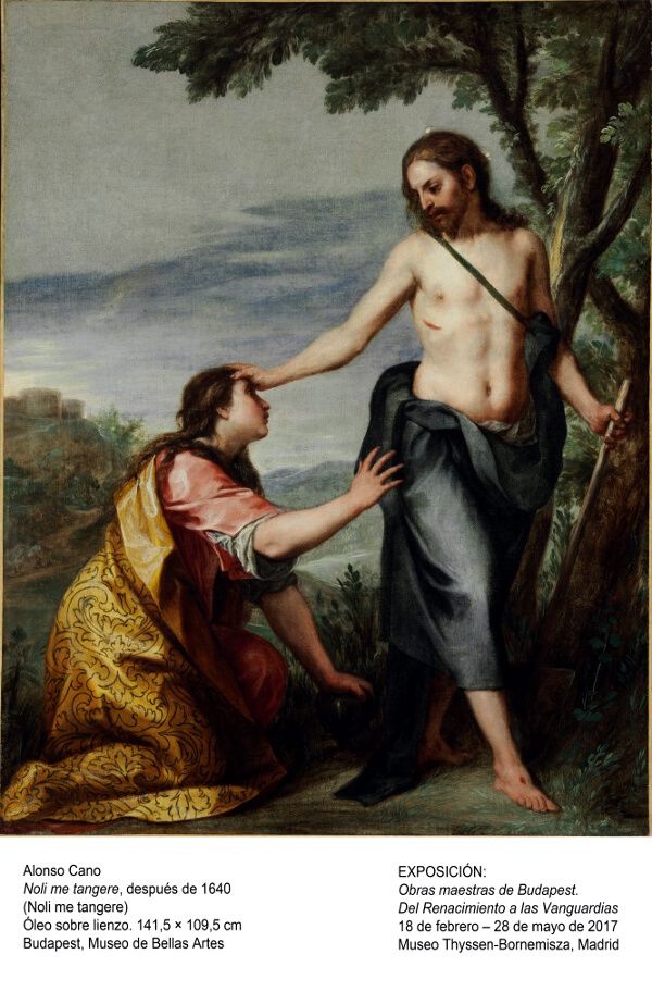 Cano. Noli