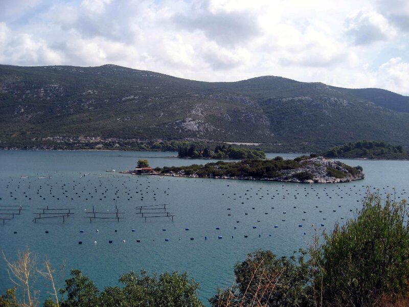 Parques de ostras