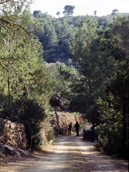 Sendero