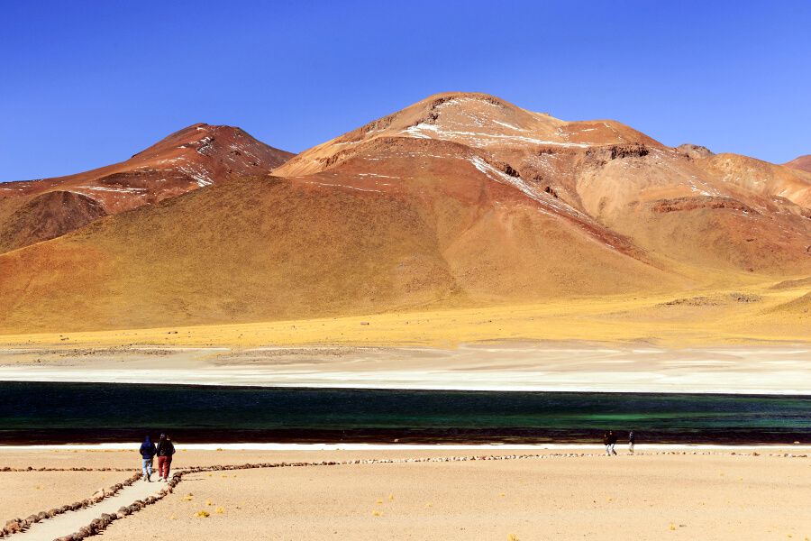 Lagunas Altiplanicas - San Pedro de Atacama