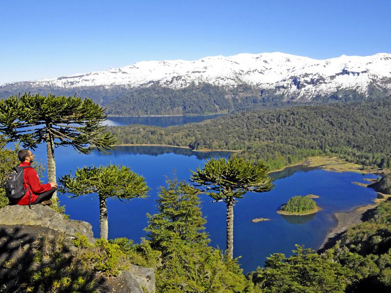 Parque Nacional Conguillio