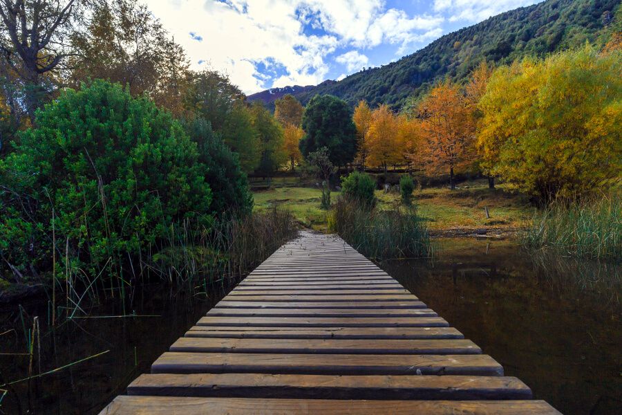 Parque Nacional Huerquehue