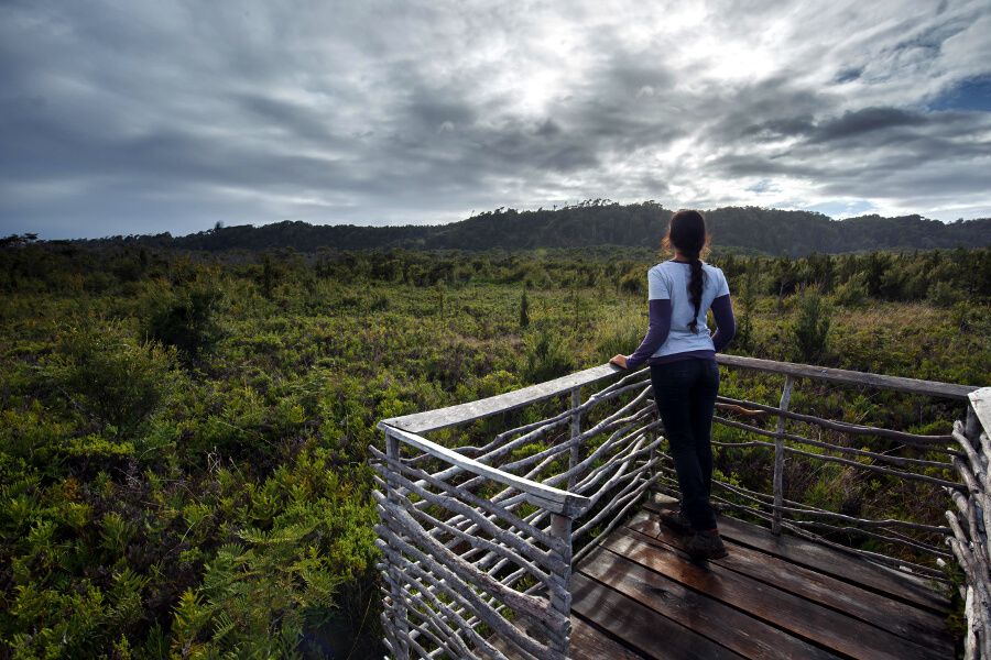 Parque Pumalin