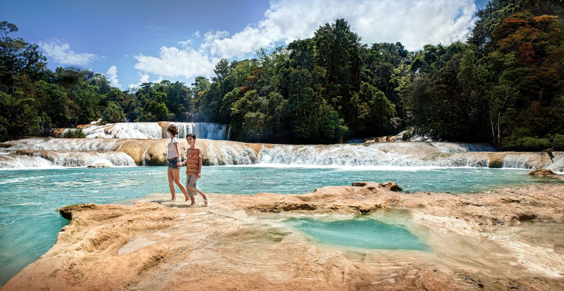 Agua Azul. Familia