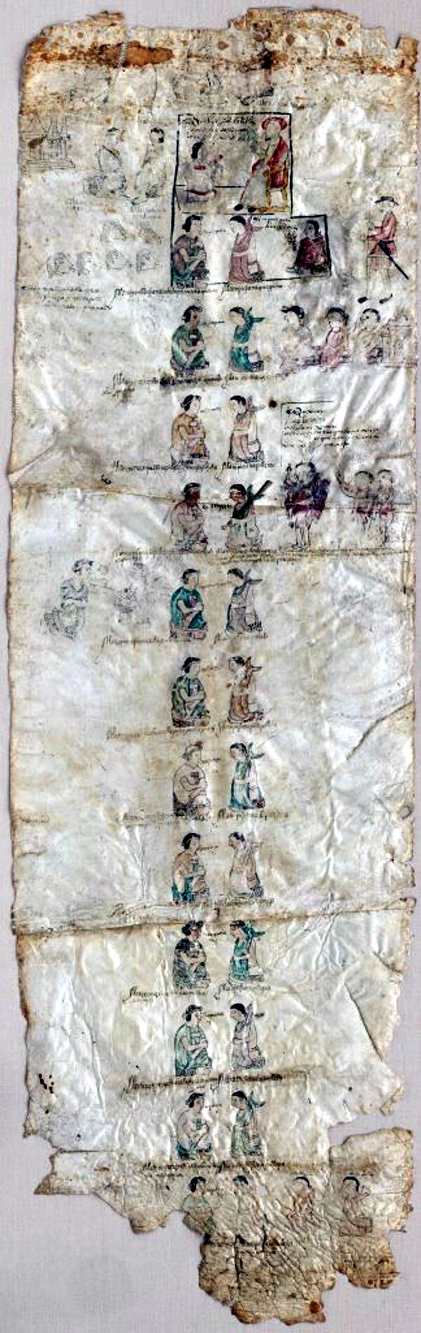 Árbol genealógico de Macuilxochitl Manuscrito ilustrado sobre pergamino, 200 cm. x 60,7 cm. San Mateo de Macuilxochitl, Oaxaca, México, h. 1570 