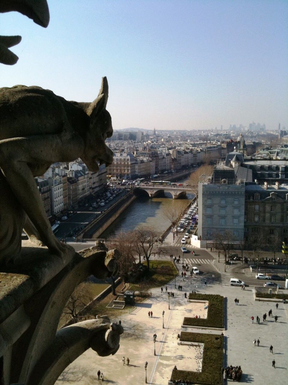 París desde Notre Dame 
