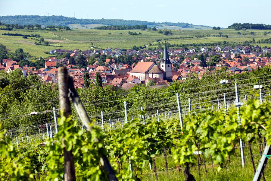 Rosheim
