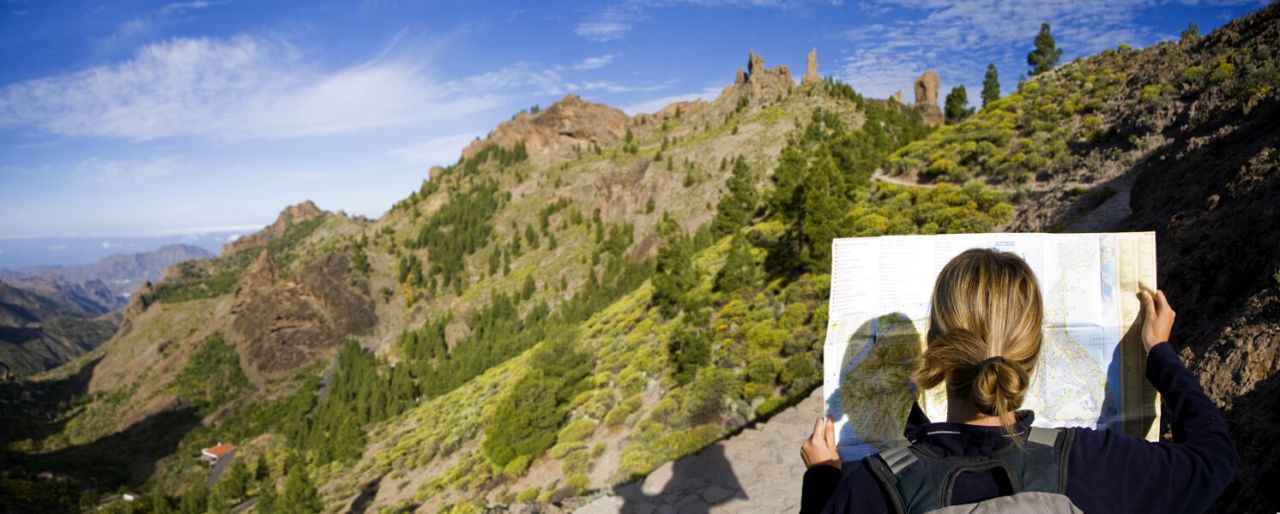 Panorámica