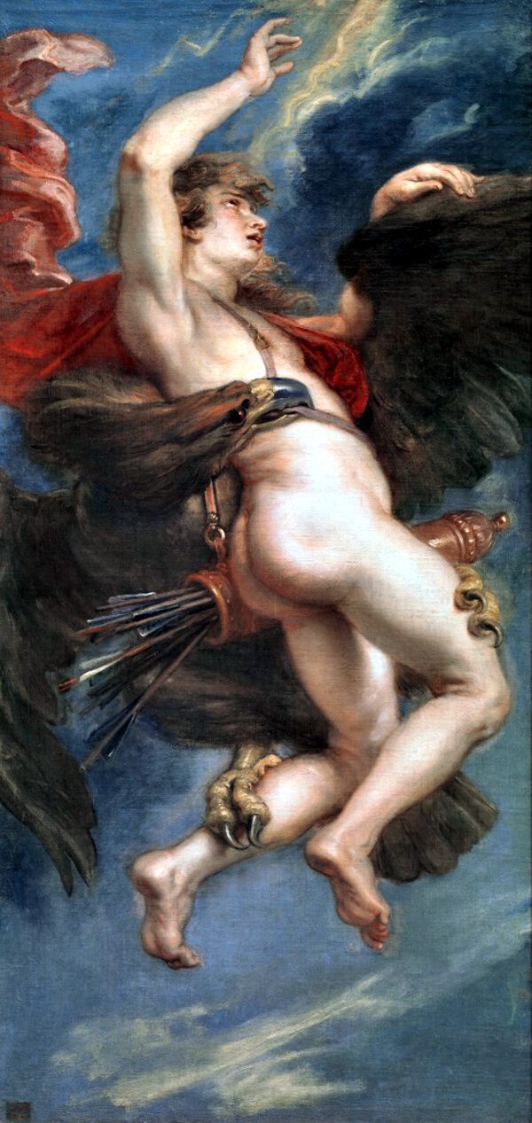 El rapto de Ganimedes P. P. Rubens Óleo sobre lienzo, 181 x 87,3 cm 1636 - 1638