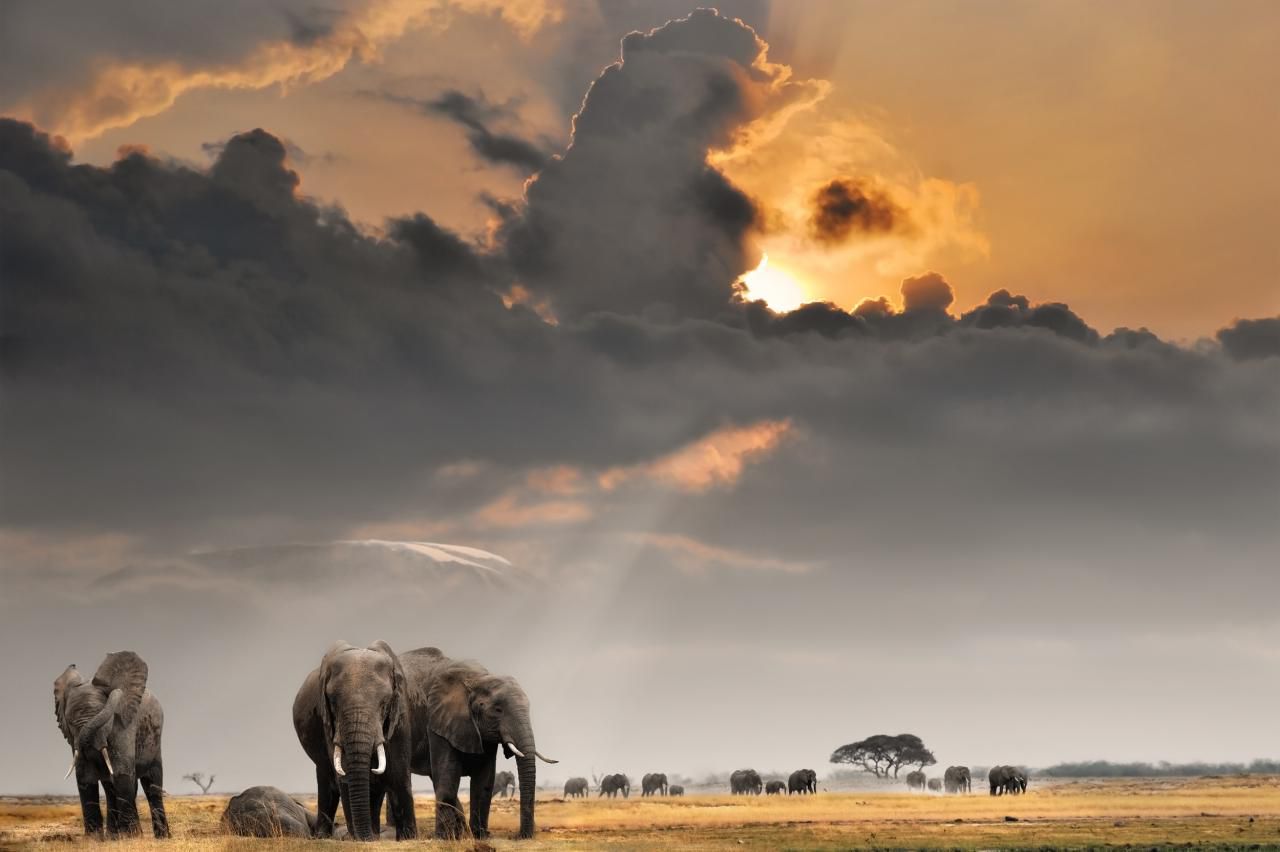 Safari en Kenia con viajes NUBA
