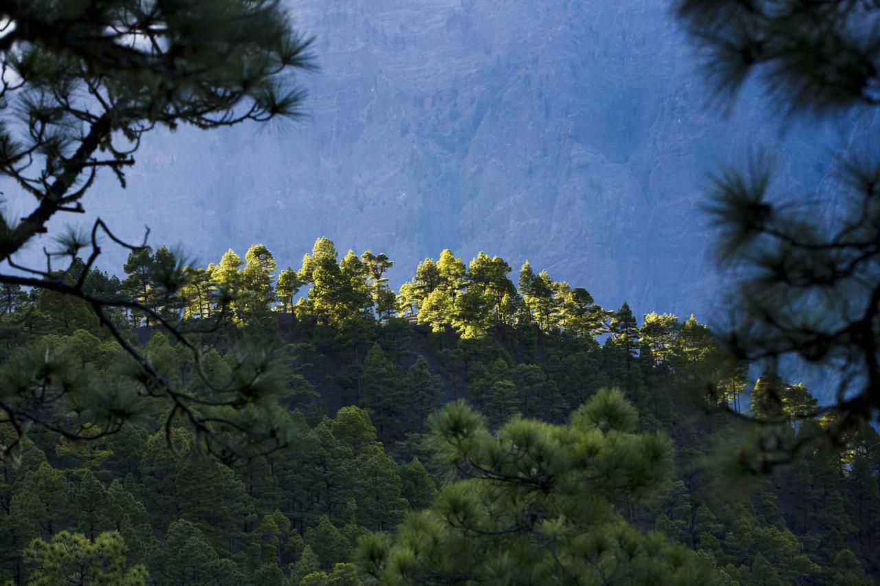 Caldera de Taburiente