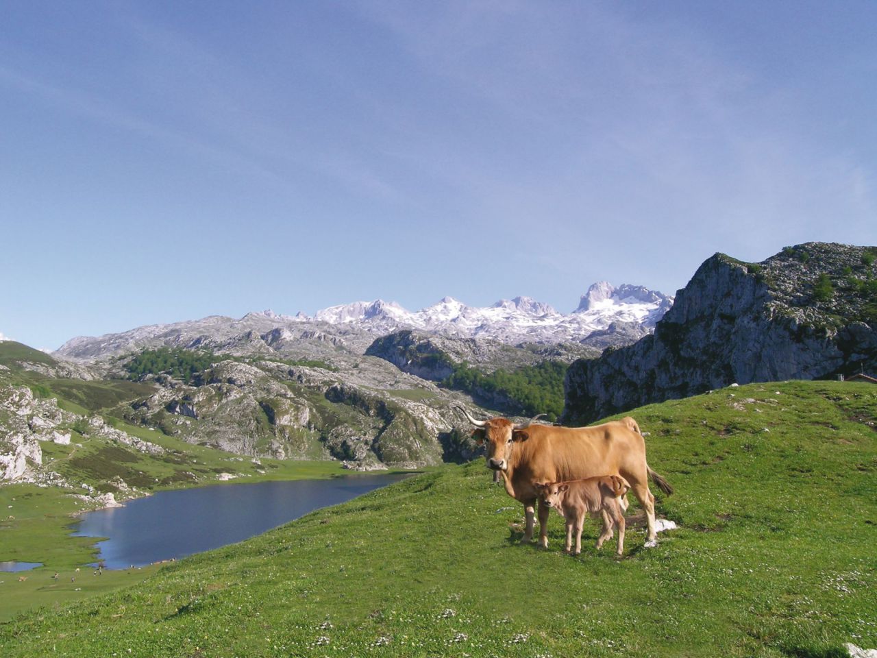 Lagos de Covadonga