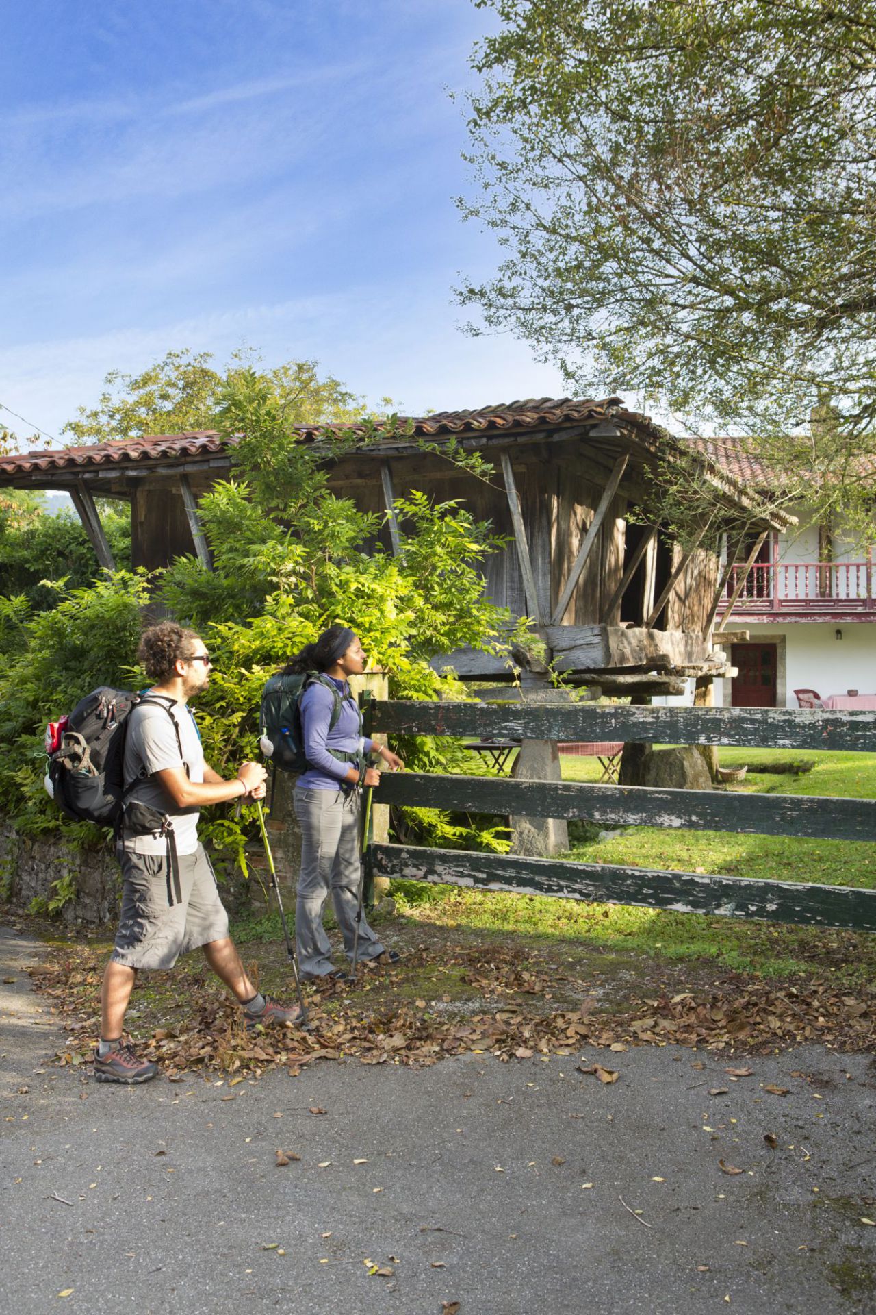 Camino de Santiago