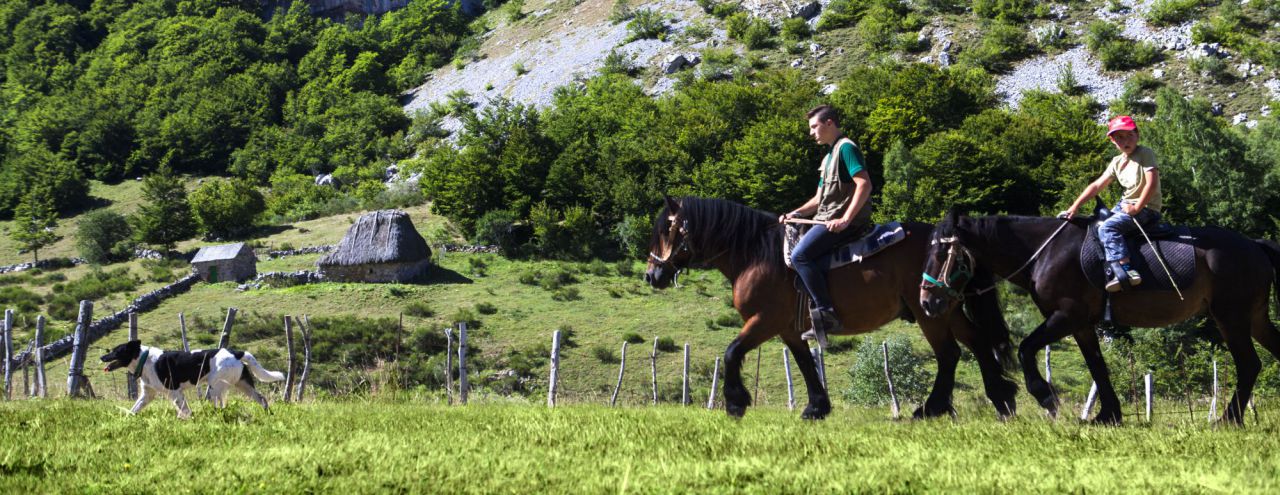 Marcha en caballoL