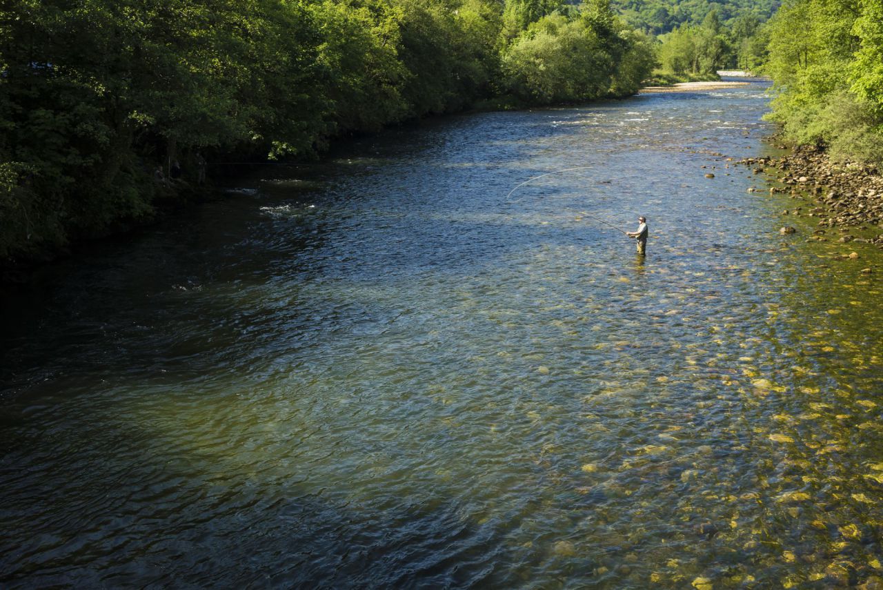 Río Narcea