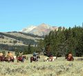 Yellowstone