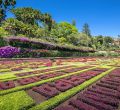 Jardines de Madeira 