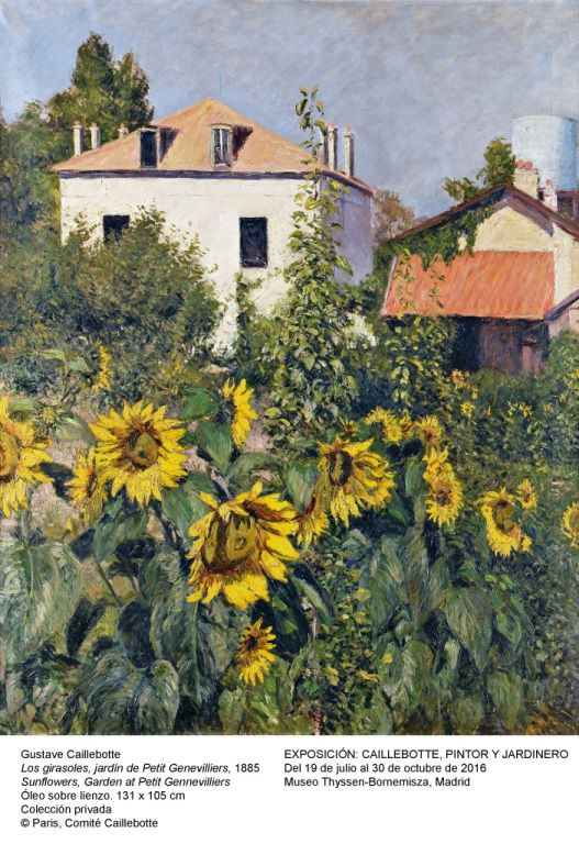 Los girasoles, jardín de  Petit Genevilliers, 1885