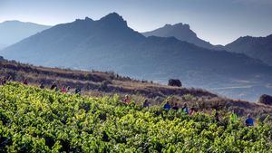 Alternativa a la ruta oficial del Camino de Santiago, que atraviesa la Rioja Alavesa