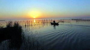 Albufera