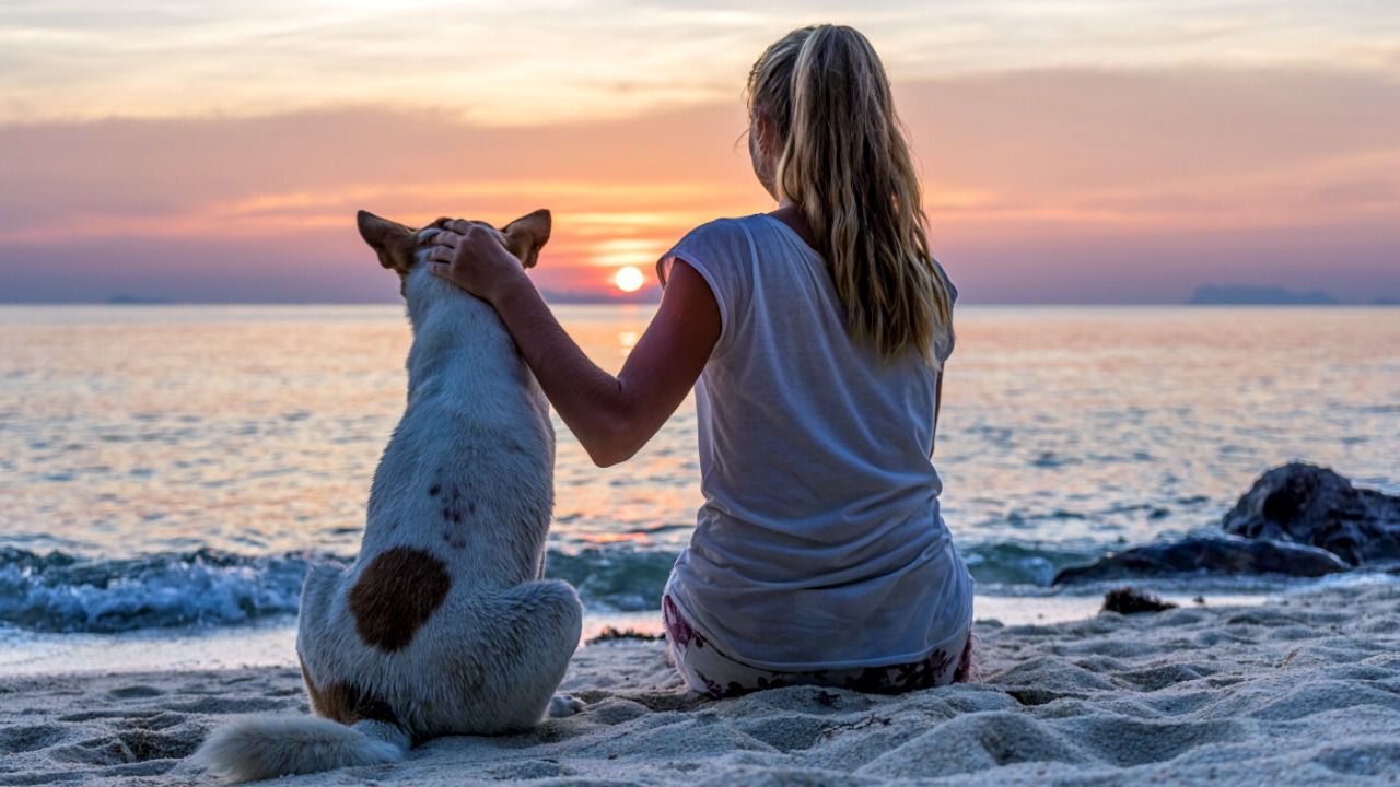 maceta Hectáreas Preescolar Viajar con mascota, una tendencia que se va abriendo hueco en el mercado  turístico | Inout Viajes