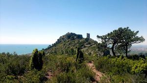 Ocho rutas senderistas para conocer el Desierto de las Palmas, Castellón