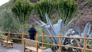 Nueva ruta turística botánica en Las Palmas de Gran Canaria
