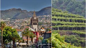 La deliciosa y exótica fruta de Madeira