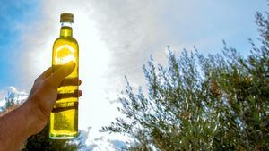 Millones de turistas de todo el mundo descubren el aceite de oliva