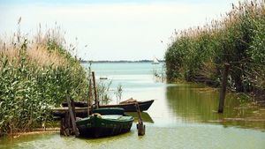 Paseo en barca entre cañas y barro