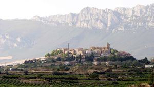 Tratamientos naturales a base de vino y aceite de oliva en la Rioja Alavesa